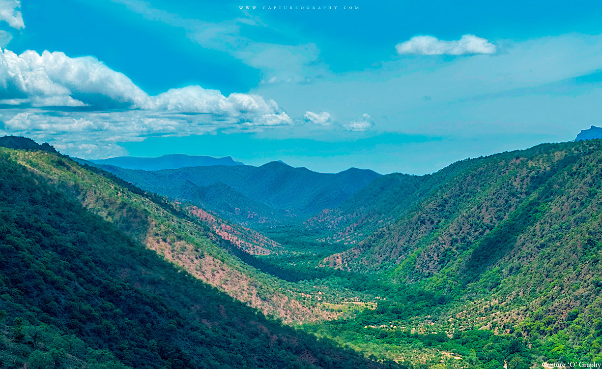 Valley Landscape Photography